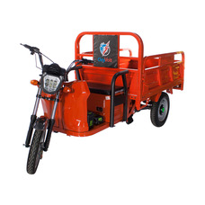Trike Heavy-Load