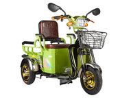 Трицикл Eltreco S1