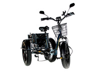 Электрический трицикл фэтбайк E-motions Panda 20 (750W 15Ah)