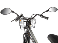 Электровелосипед GREEN CITY e-ALFA Trike (синий)